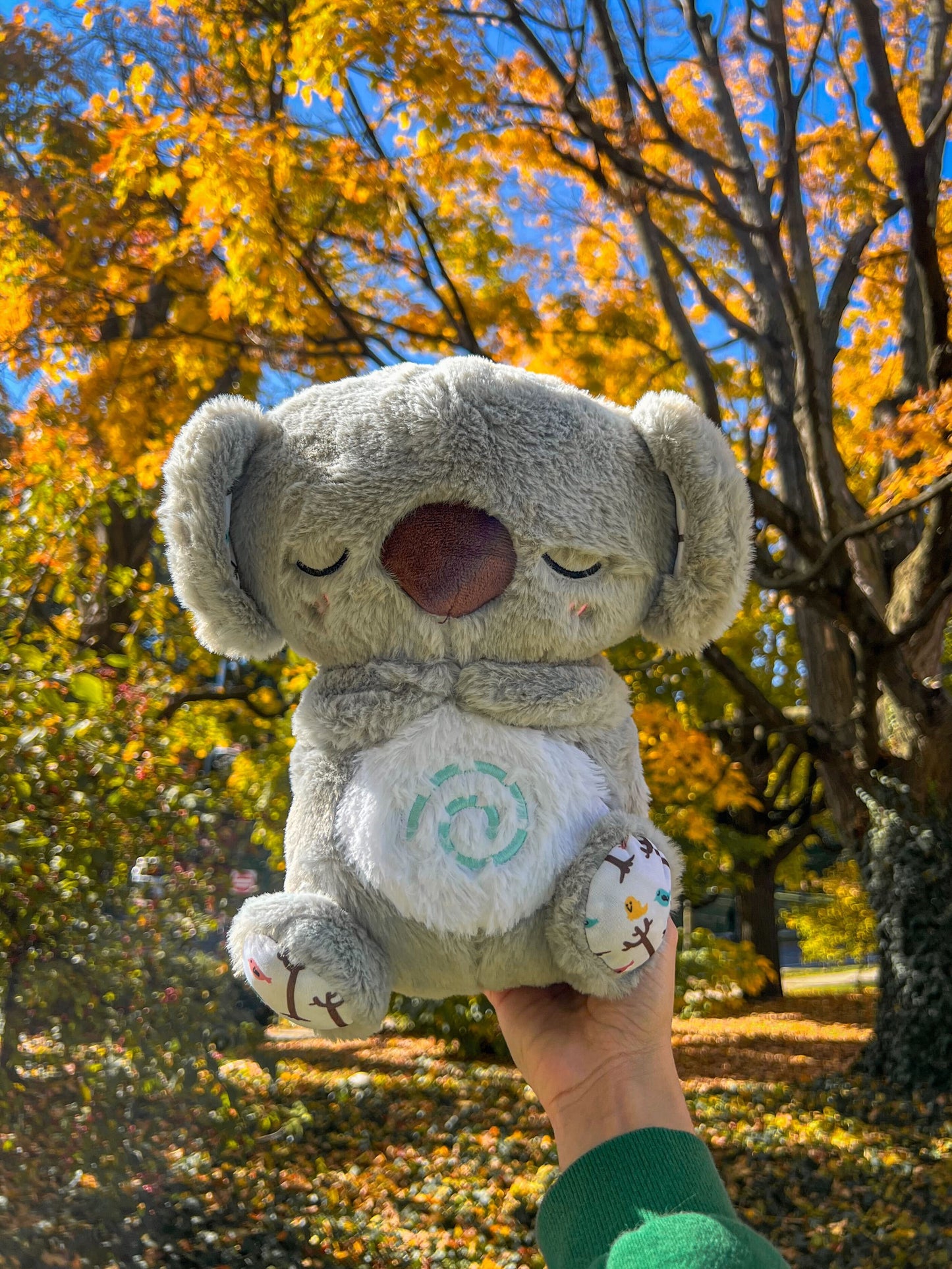 Relief Buddy - Big Cart Sky
