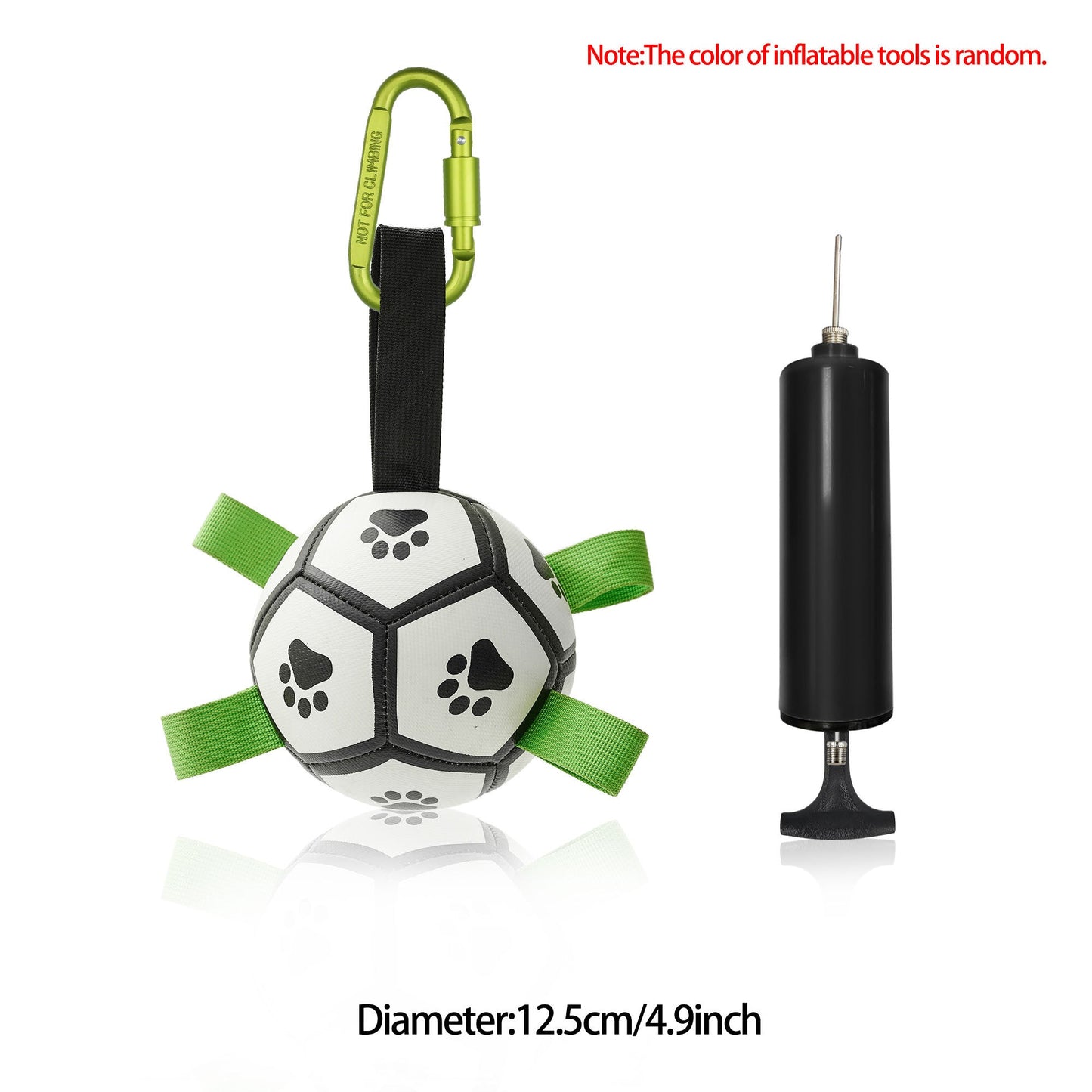 Interactive Dog Soccer Fun
