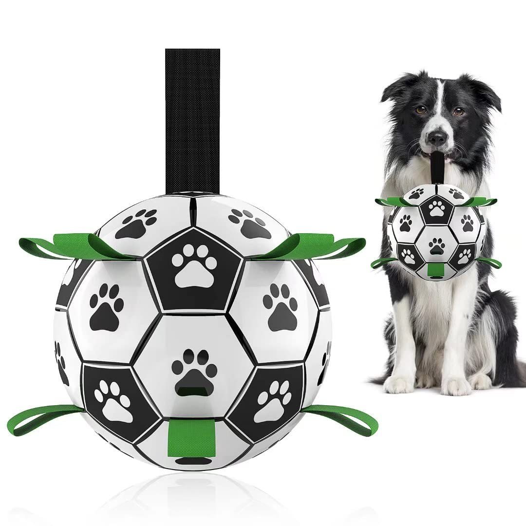 Interactive Dog Soccer Fun
