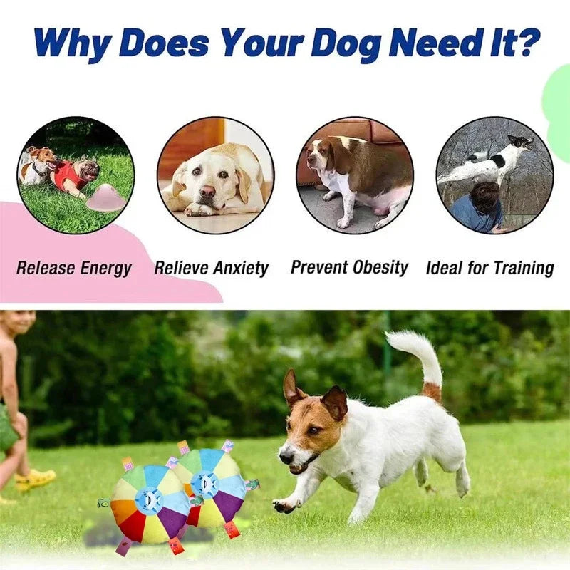 Rainbow Plush Dog Frisbee