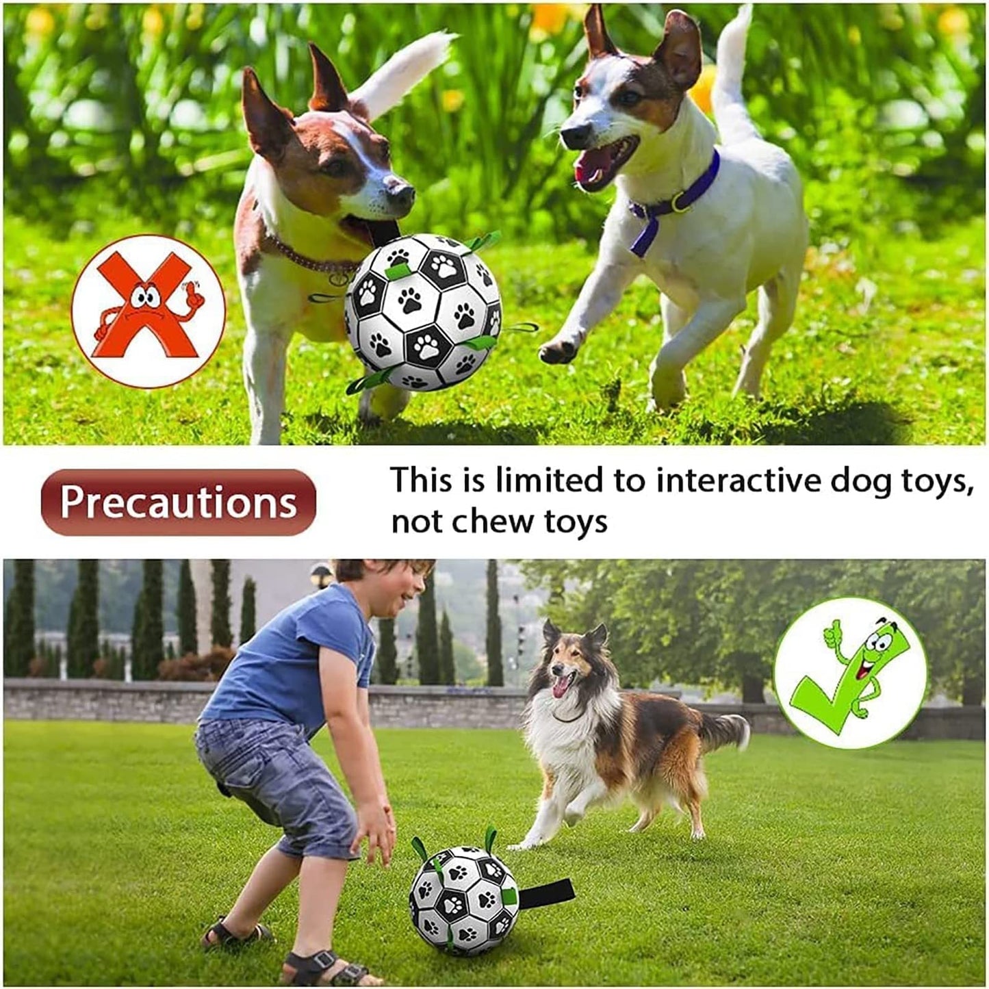 Interactive Dog Soccer Fun