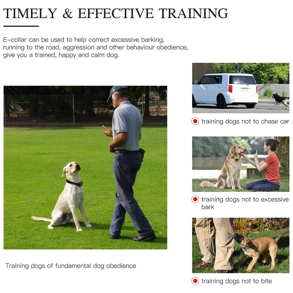 Smart Dog Training Collar