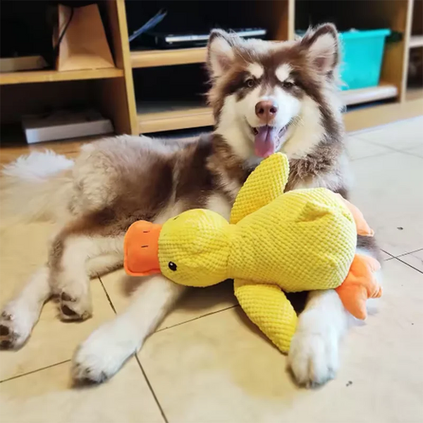 Cuddly Duck Dog Toy