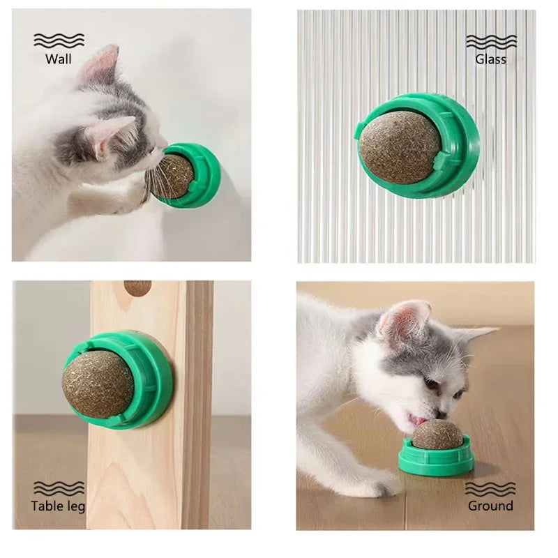 Natural Catnip Wall Ball Toy