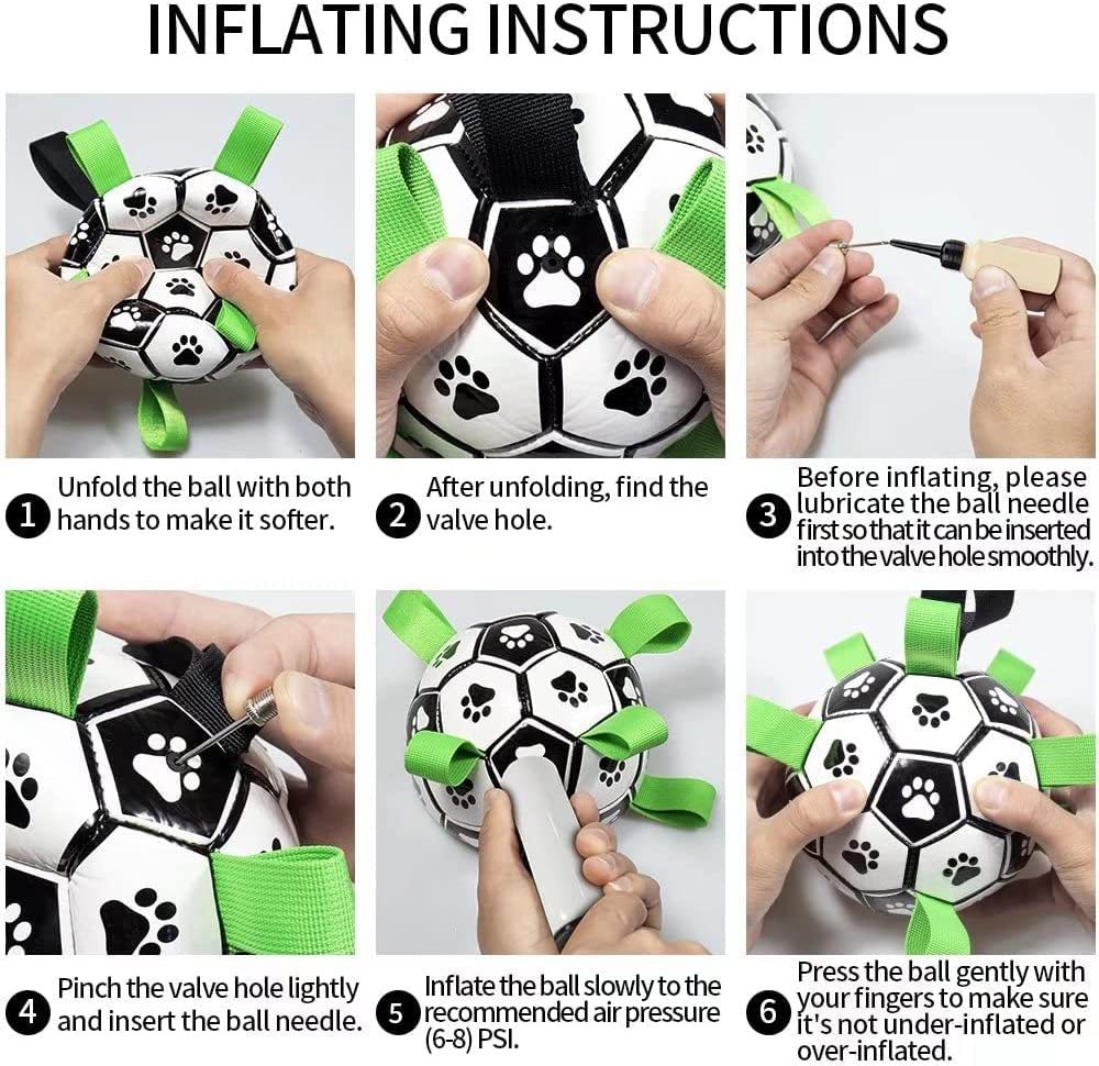 Interactive Dog Soccer Fun