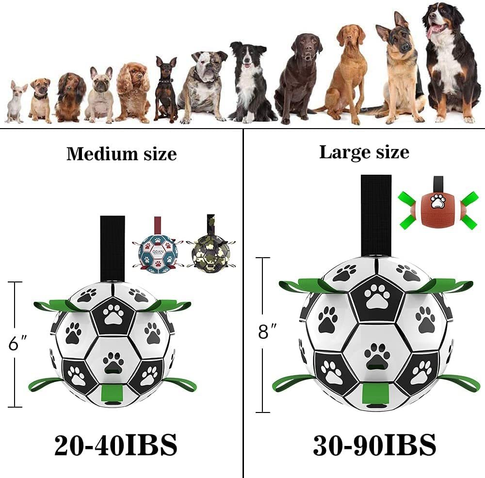Interactive Dog Soccer Fun
