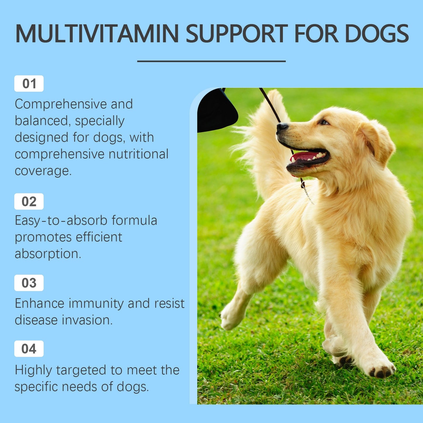 Yegbong Pet Multivitamin Tablets