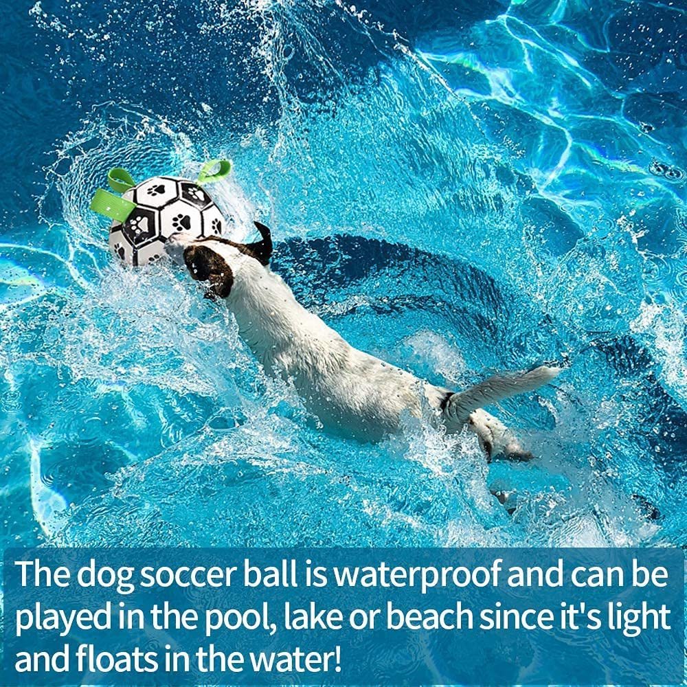 Interactive Dog Soccer Fun