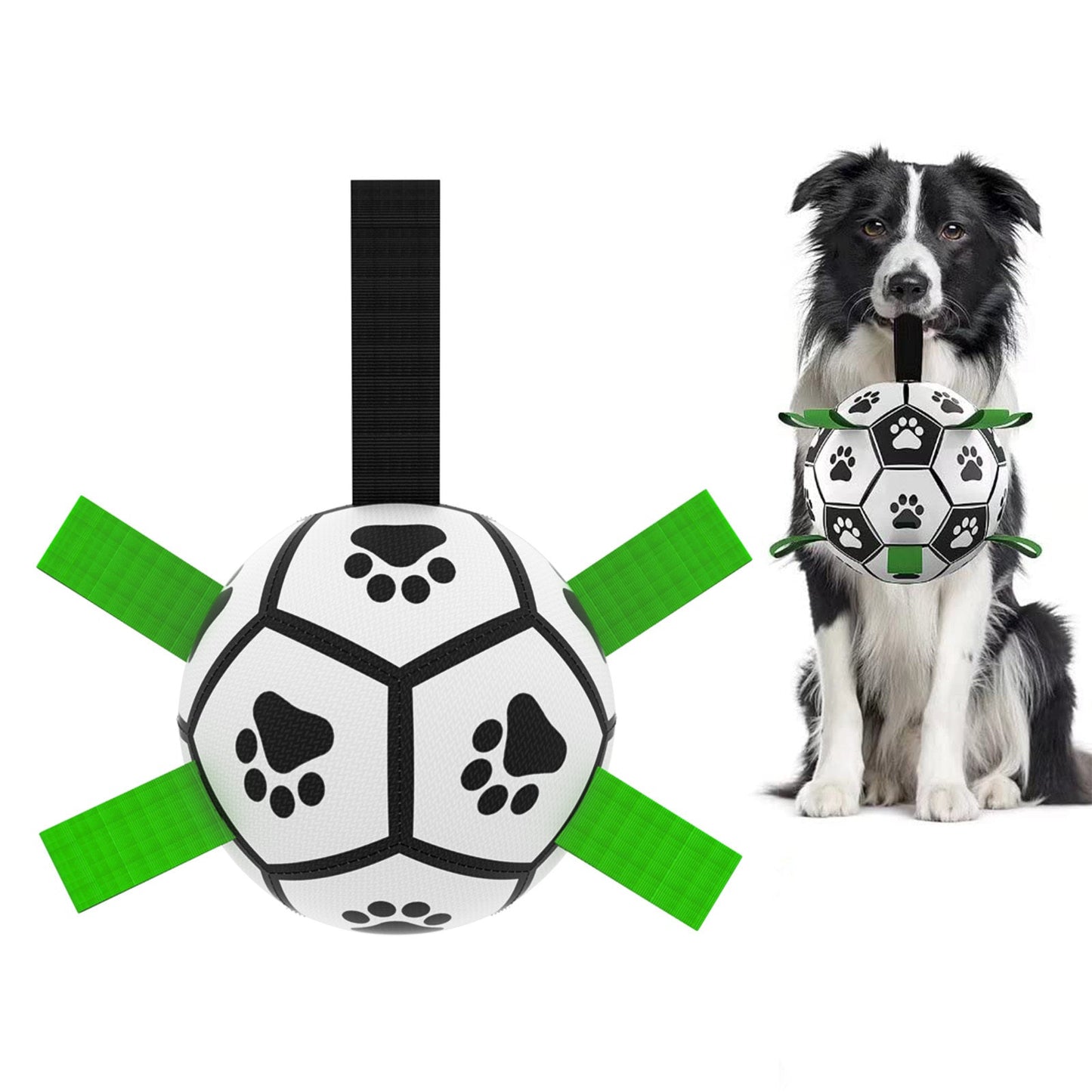 Interactive Dog Soccer Fun
