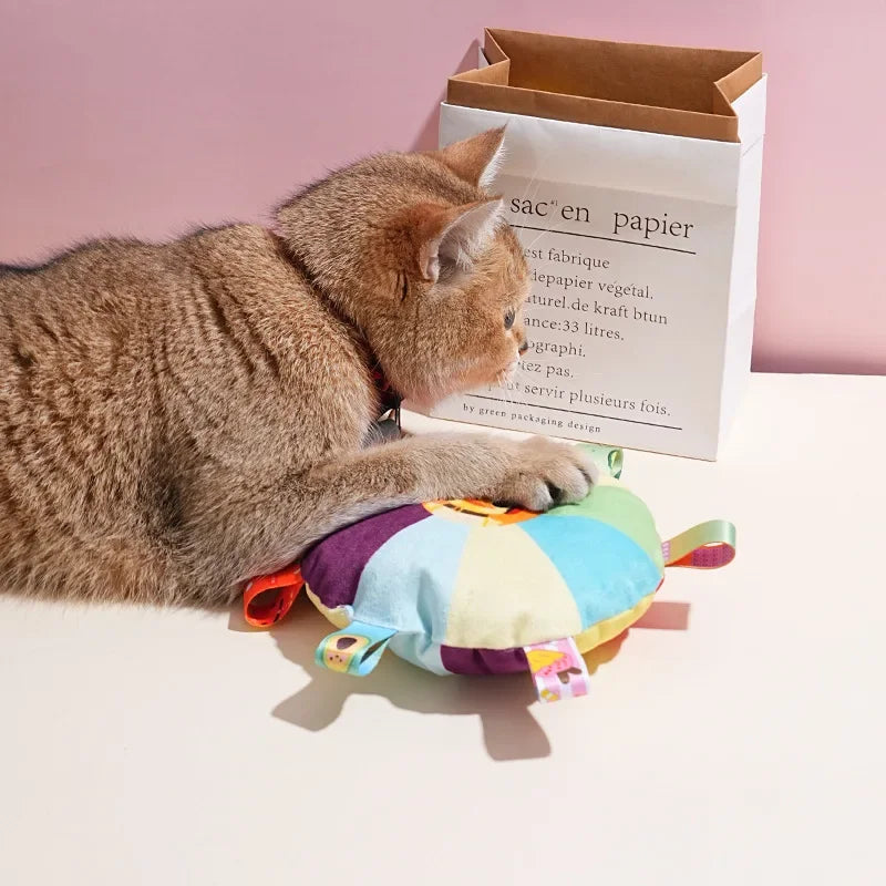 Rainbow Plush Dog Frisbee