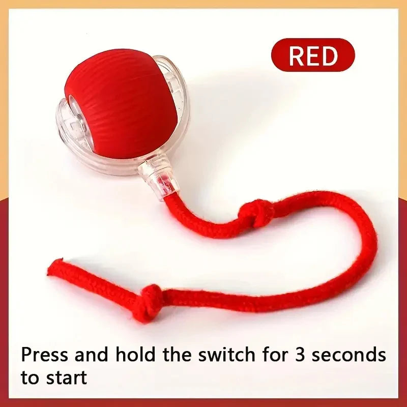 Smart Interactive Dog Ball – USB Rechargeable Automatic Moving Toy for Puppies and Cats" - Big Cart Sky