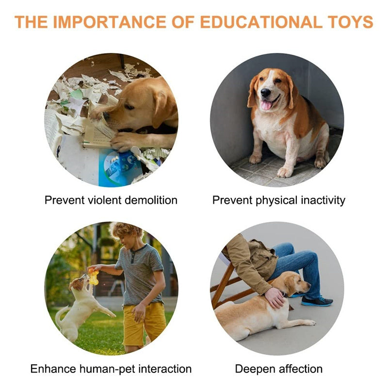4 Colors Pet Communication Button One-click Prevent Physical Inactivity Recordable Dog Talking Button Toy Cat Toy Pet Products - Big Cart Sky
