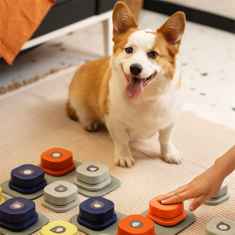 4 Colors Pet Communication Button One-click Prevent Physical Inactivity Recordable Dog Talking Button Toy Cat Toy Pet Products - Big Cart Sky