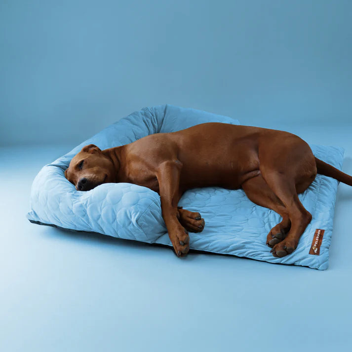 Beat the Heat – Give Your Pet the Coolest Nap Ever! - Big Cart Sky