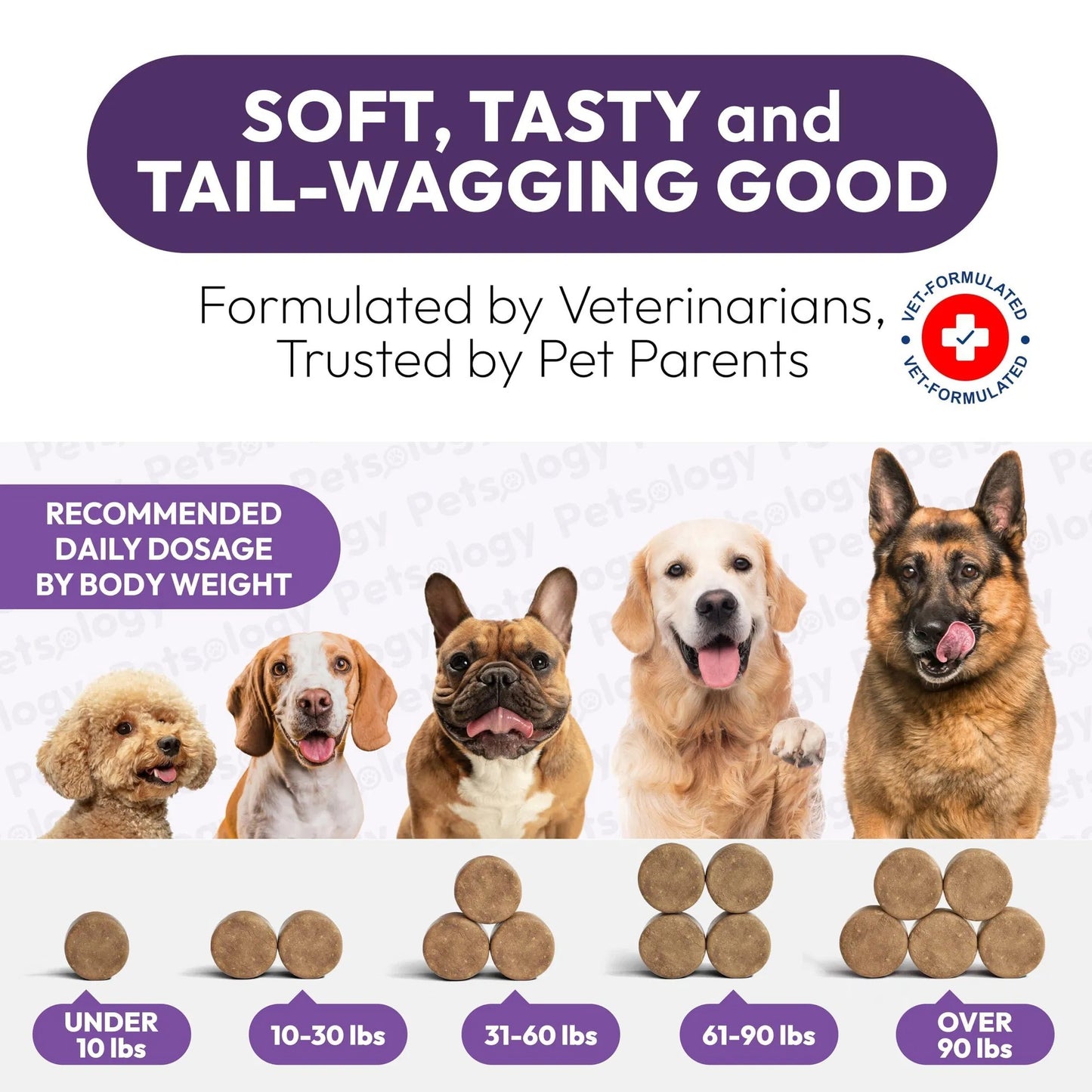 Dog Multivitamin Chewable Dog Vitamins And Supplements With Glucosamine 170 Chews Hip & Joint Pet Immune Support Skin & Coat Gut & Heart Health Senior & Puppy Multivitamin Pet Supplement - Big Cart Sky