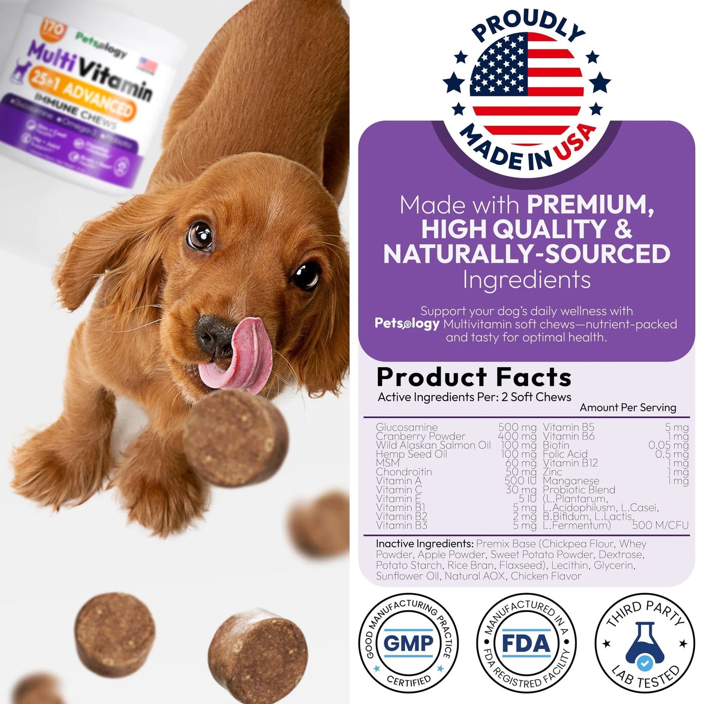 Dog Multivitamin Chewable Dog Vitamins And Supplements With Glucosamine 170 Chews Hip & Joint Pet Immune Support Skin & Coat Gut & Heart Health Senior & Puppy Multivitamin Pet Supplement - Big Cart Sky