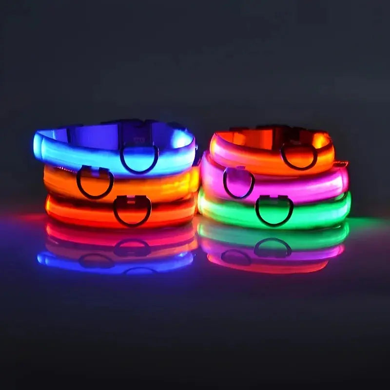 Dog Collar Nylon LED Night Safety Flashing Glow In The Dark Pet Dog Leash pet Dogs Luminous Fluorescent dog accessories collar - Big Cart Sky