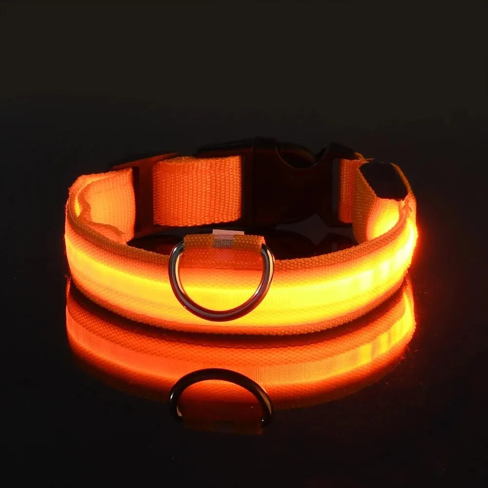 Dog Collar Nylon LED Night Safety Flashing Glow In The Dark Pet Dog Leash pet Dogs Luminous Fluorescent dog accessories collar - Big Cart Sky