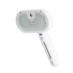 Steamy Electric Pet Grooming Brush