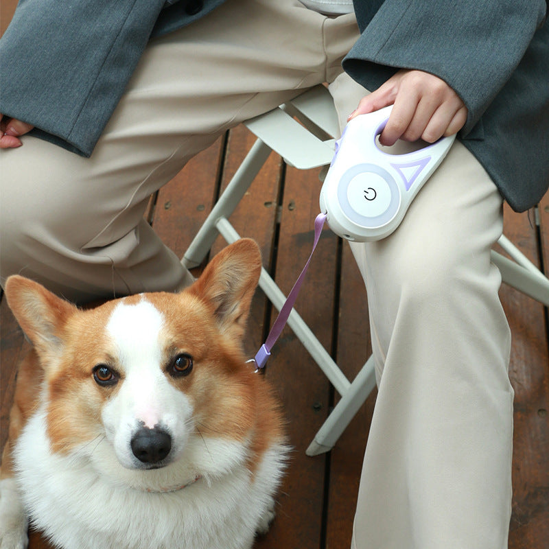 Plonique™ Retractable Dog Leash With Spotlight - Big Cart Sky