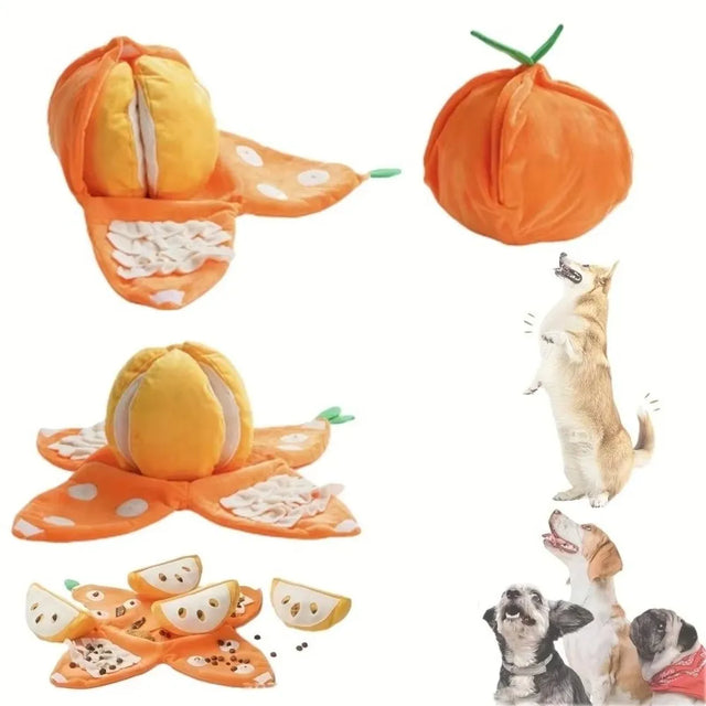 OrangeQuest™ Hide-and-Seek Toy 🍊🐾 Sniff. Search. Smile. - Big Cart Sky
