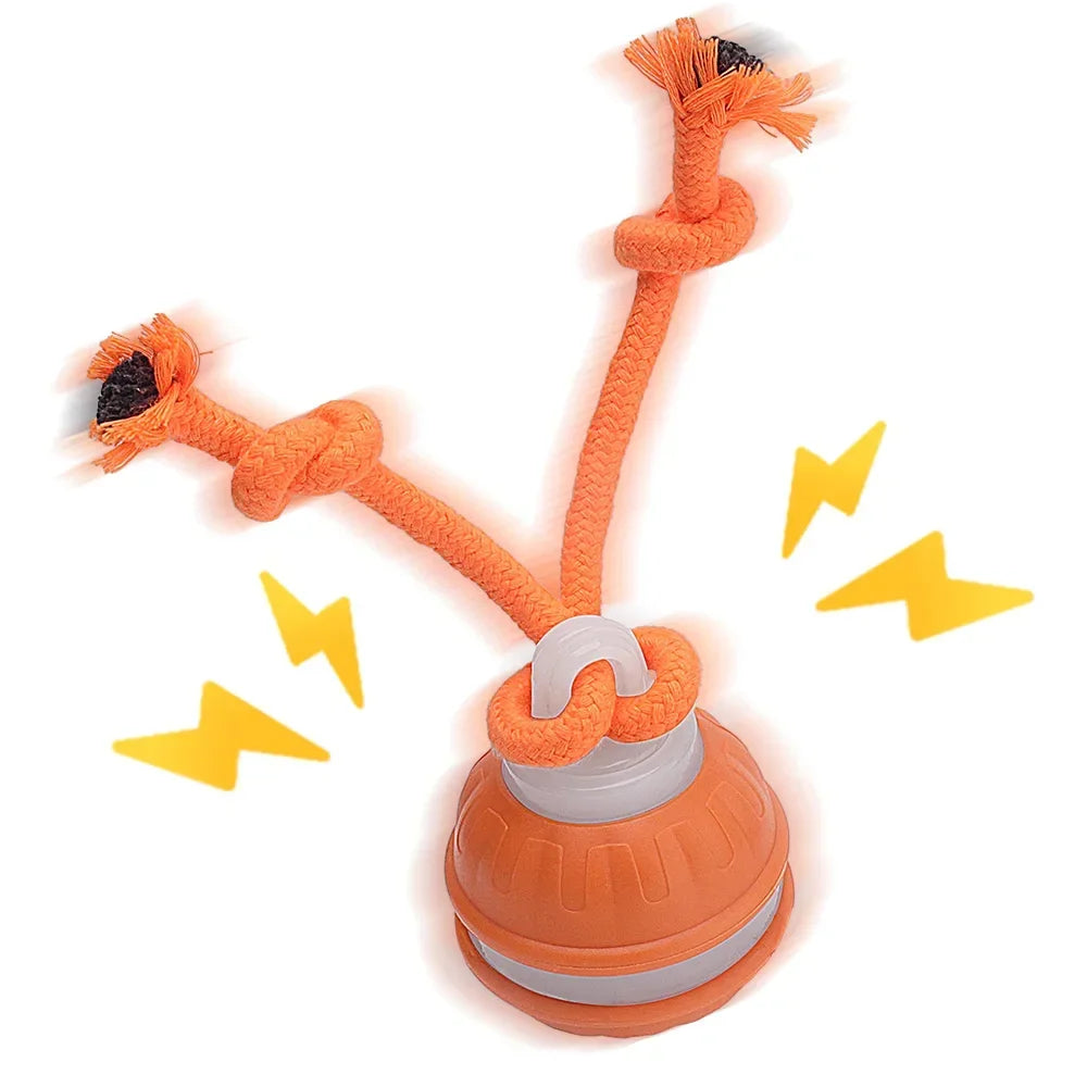 RolliPlay™ Smart Pet Ball 🐾⚡ Endless Chase Fun - Big Cart Sky