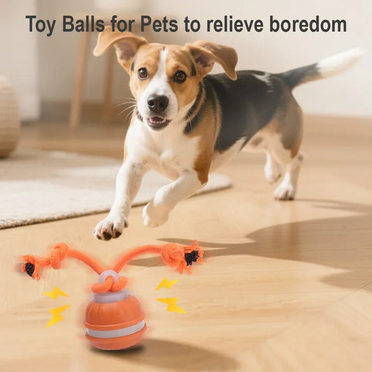 RolliPlay™ Smart Pet Ball 🐾⚡ Endless Chase Fun - Big Cart Sky