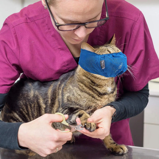 Breathable Cat Muzzle – Stress-Free Grooming & Vet Visits! - Big Cart Sky