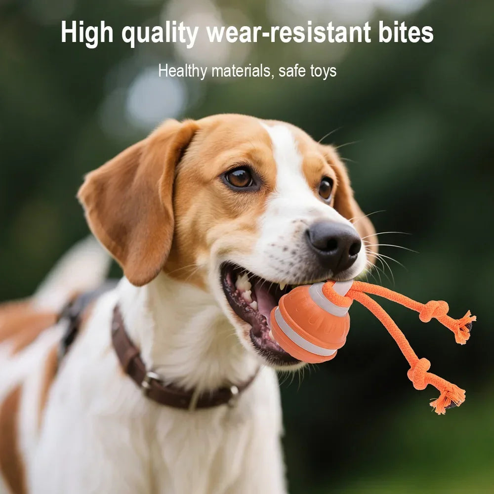 RolliPlay™ Smart Pet Ball 🐾⚡ Endless Chase Fun - Big Cart Sky