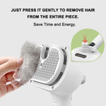Steamy Electric Pet Grooming Brush