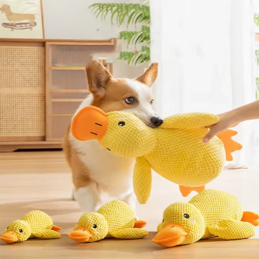 Cuddly Duck Dog Toy