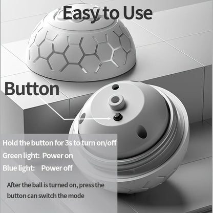 Playful Pup LED Toy Ball