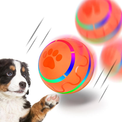 Gravity Bounce Toy