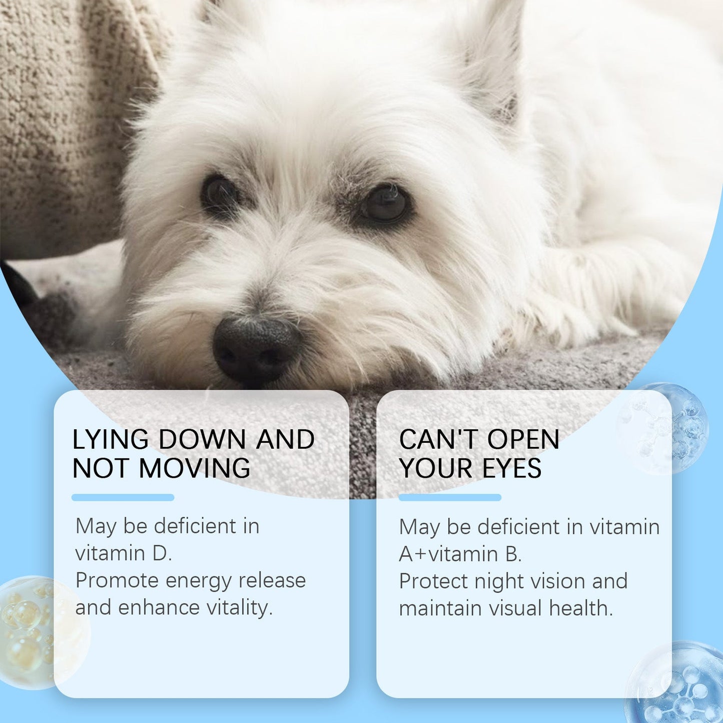 Yegbong Pet Multivitamin Tablets