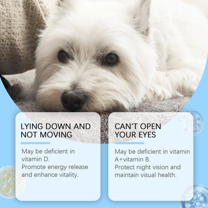 Yegbong Pet Multivitamin Tablets