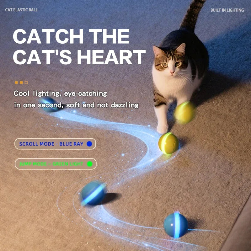 Magic Motion Cat Play Ball