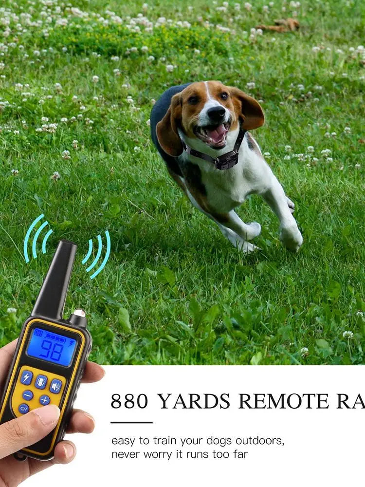 Smart Dog Training Collar
