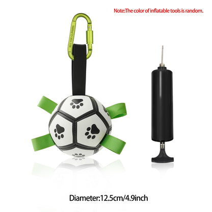 Interactive Dog Soccer Fun