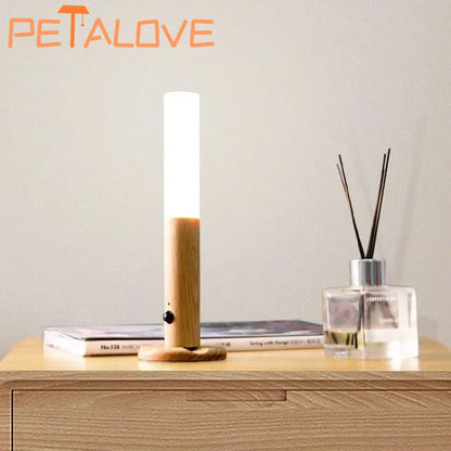Smart Motion Sensor Night Light