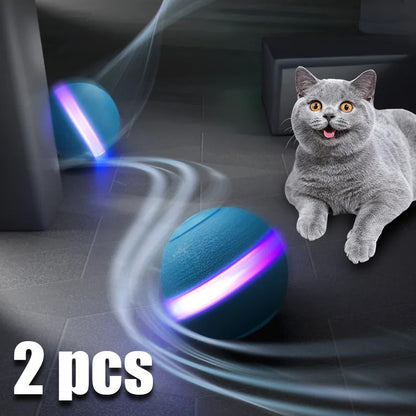 Magic Motion Cat Play Ball