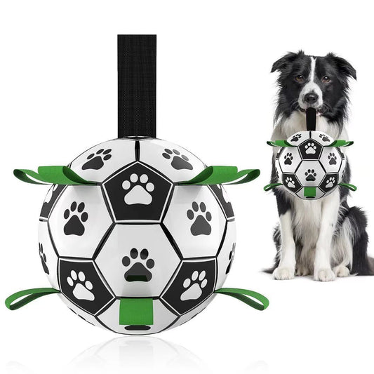 Interactive Dog Soccer Fun