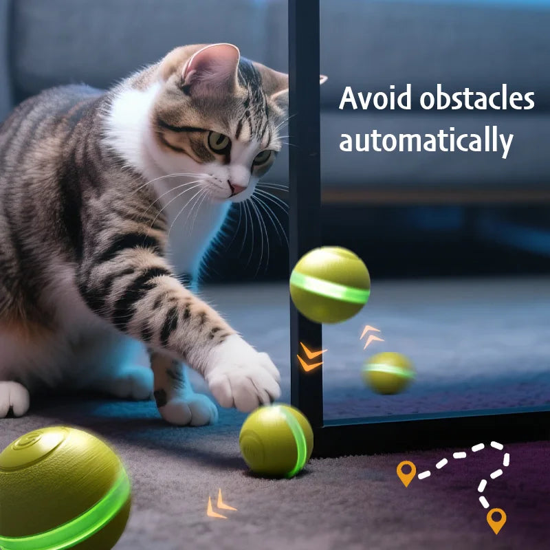 Magic Motion Cat Play Ball
