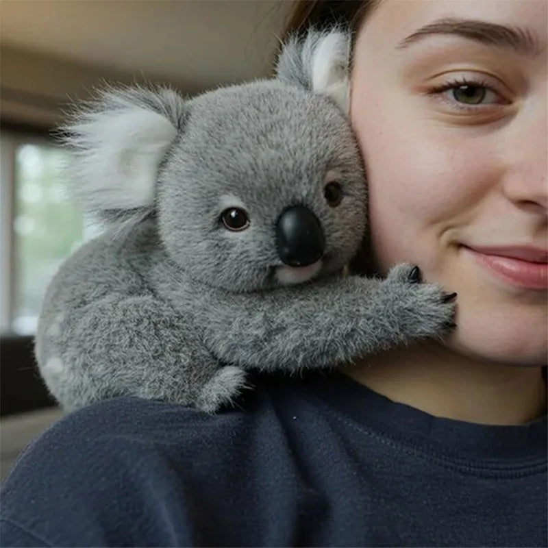 Koala Comfort Companions - Big Cart Sky