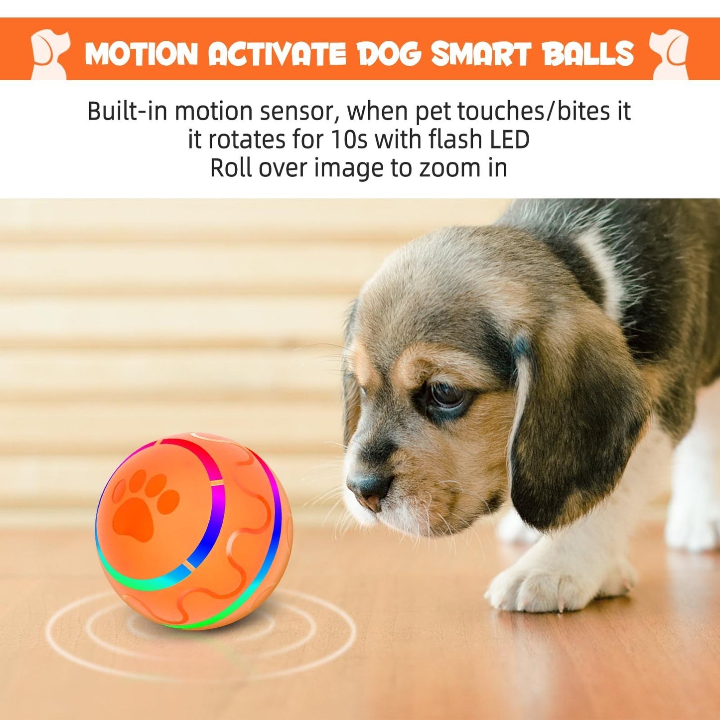 Gravity Bounce Toy