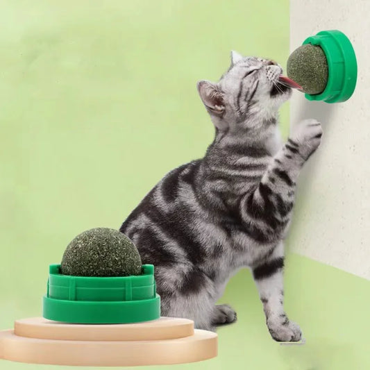 Natural Catnip Wall Ball Toy