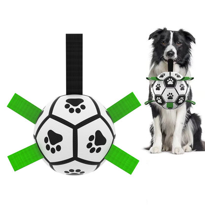 Interactive Dog Soccer Fun