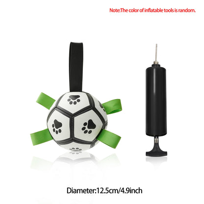 Interactive Dog Soccer Fun