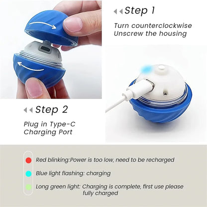 Smart Interactive Dog Ball – USB Rechargeable Automatic Moving Toy for Puppies and Cats" - Big Cart Sky