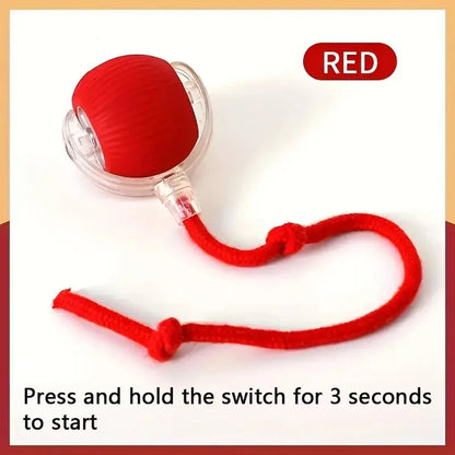 Smart Interactive Dog Ball – USB Rechargeable Automatic Moving Toy for Puppies and Cats" - Big Cart Sky
