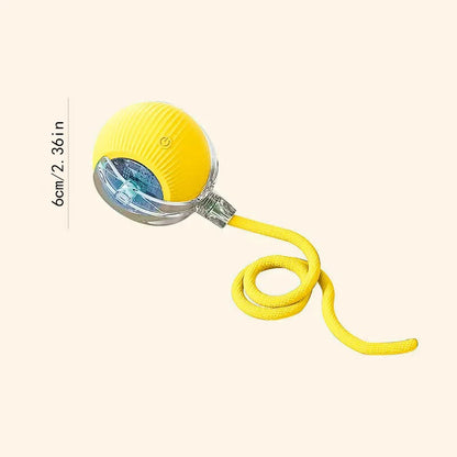 Smart Interactive Dog Ball – USB Rechargeable Automatic Moving Toy for Puppies and Cats" - Big Cart Sky